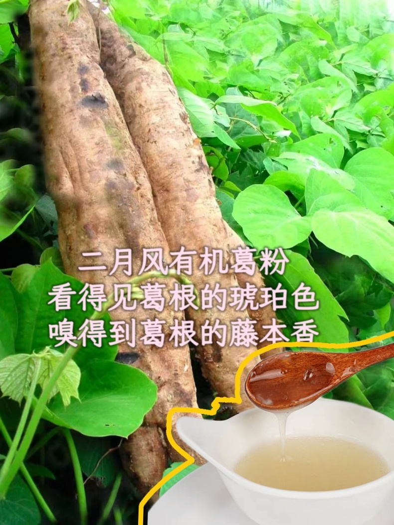 二月風(fēng)有機(jī)葛粉，看得見(jiàn)葛根的琥珀色，嗅得到葛根的藤本香_790.jpg