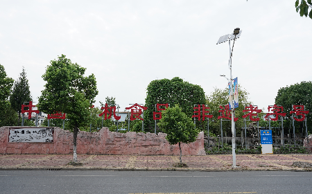 當(dāng)定制葛粉時(shí)，我們真正在選擇什么？