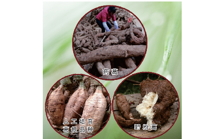 買葛粉是買野生的好？還是野生有機的好？