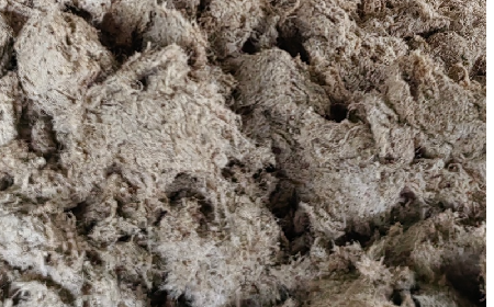 深入大洪山，只為一口純凈 -二月風(fēng)今冬野生葛根收購紀(jì)實(shí)